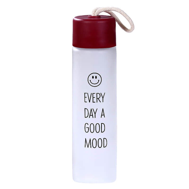Frosted Glass Water Bottle with Plastic Lid